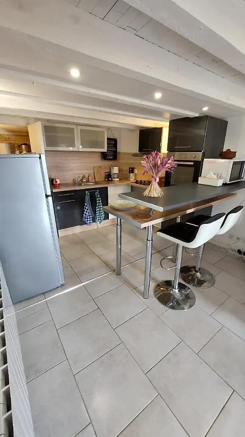 Appartement Duplex Avec Jardin Rodez Apartment