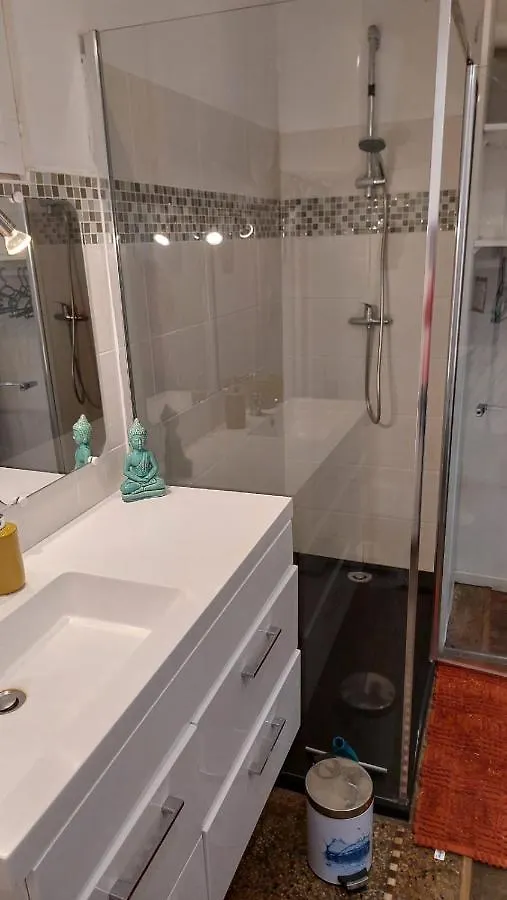 Appartement Duplex Avec Jardin Rodez 0*,