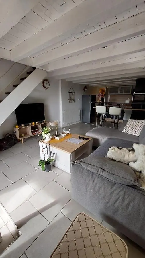 Appartement Duplex Avec Jardin Rodez 0*,  France